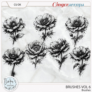 CU Brushes Vol 6 by Ilonka's Designs