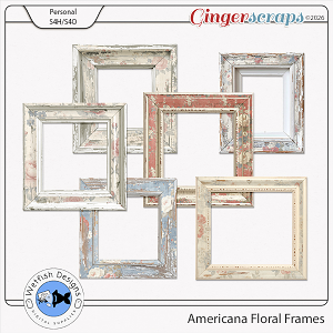 Americana Floral Frames by Wetfish Designs