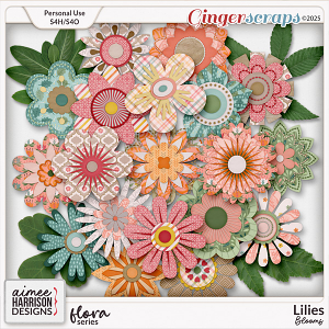 Lilies Blooms by Aimee Harrison