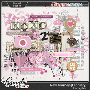 New Journey-{February}-Journey Bits