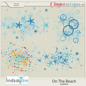 On The Beach Scatterz by Lindsay Jane