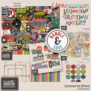 License to Drive Collection by Aimee Harrison