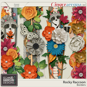 Rocky Raccoon Borders by Aimee Harrison