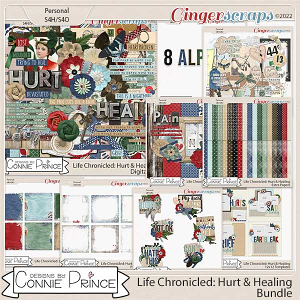 Life Chronicled: Hurt & Healing - Bundle by Connie Prince