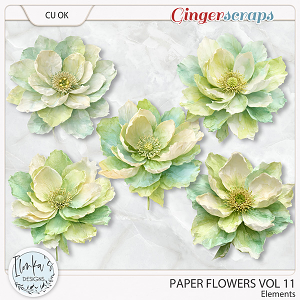CU Paper Flowers Vol 11 by Ilonka's Designs 