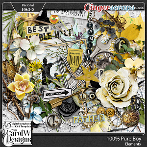 100% Pure Boy-Elements 100% Pure Boy-Elements