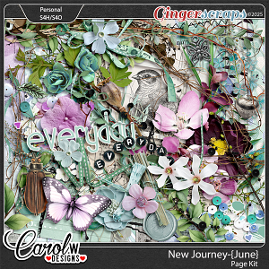 New Journey-{June}-Page Kit