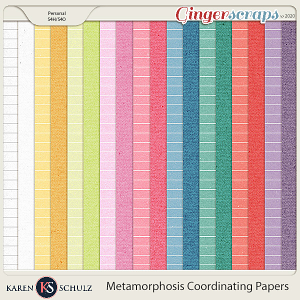 Metamorphosis Coordinating Papers by Karen Schulz