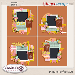 Picture Perfect 320 by Aprilisa Designs