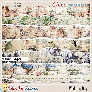 Wedding Day Torn Edges