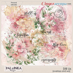 Still Us Overlays and WA by Palvinka Designs