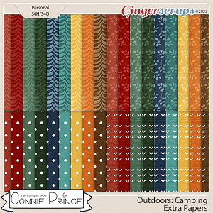 Outdoors: Camping - Extra Papers by Connie Prince