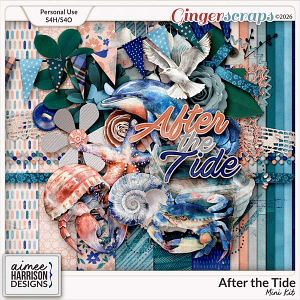 After the Tide Mini Kit Mini Kit by Aimee Harrison