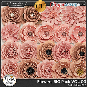 Flowers - BIG Pack VOL03 {CU} - by Neia Scraps Flowers - BIG Pack VOL03 {CU} - by Neia Scraps