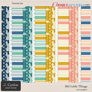 365 Little Things Extra Papers by J. Conlon and Sons