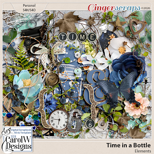 Time in a Bottle-Elements