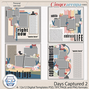 Days Captured 2 Templates by Miss Fish