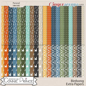 Birdsong - Extra Papers by Connie Prince