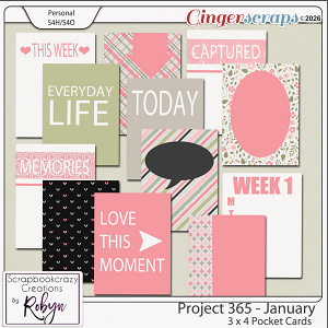 Project 365 - January 3x4 Pocket Cards by Scrapbookcrazy Creations