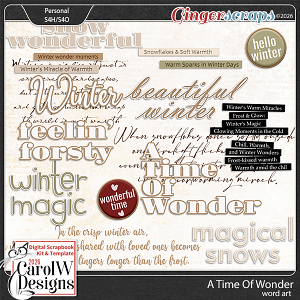 A Time Of Wonder-Word art