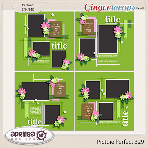 Picture Perfect 329 by Aprilisa Designs