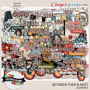 Between Then & Next - Elements by Lisa Rosa Designs