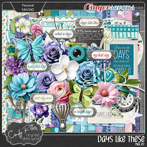 Days Like These [Kit] by Cindy Ritter