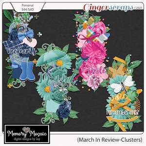 March In Review-Clusters by Memory Mosaic