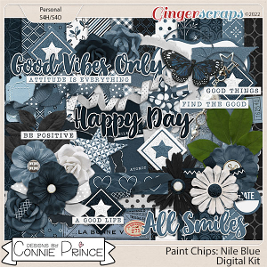 Paint Chips Nile Blue - Kit by Connie Prince