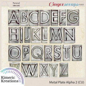 Metal Plate Alpha 2 by Kimeric Kreations