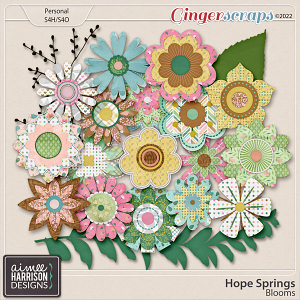 Hope Springs Blooms by Aimee Harrison