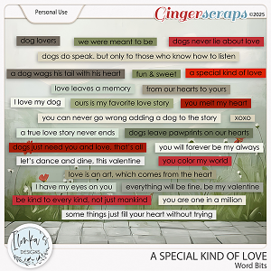 A Special Kind Of Love Word Bits by Ilonka's Designs