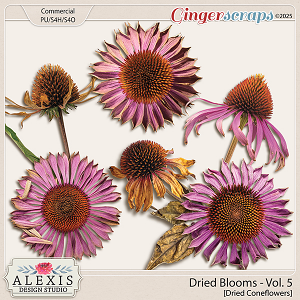 CU - Dried Blooms Vol. 5