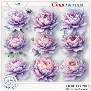 CU Watercolor Lilac Peonies by Ilonka's Designs 