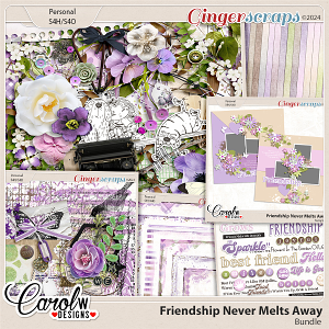 Friendship Never Melts Away-Bundle