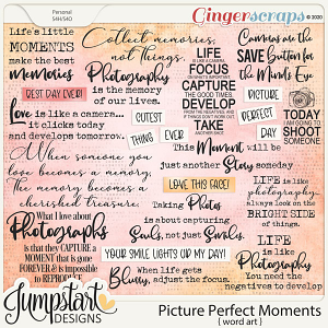 Picture Perfect Moments {Word Art}