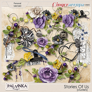 Stories Of Us Clusters by Palvinka Designs