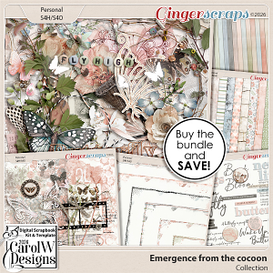 Emergence from the cocoon-Collection