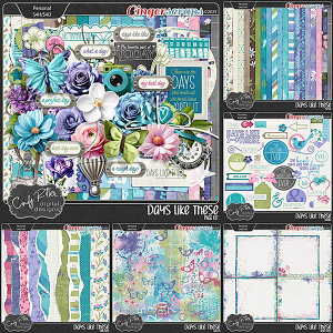 Days Like These [Bundle] by Cindy Ritter 