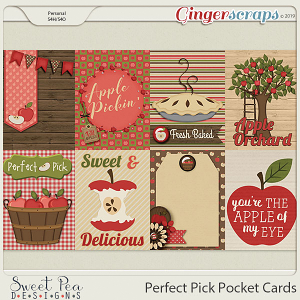 Perfect Pick Pocket Cards