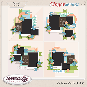 Picture Perfect 305 by Aprilisa Designs