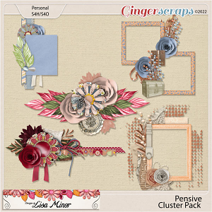 Pensive Cluster Pack from Designs by Lisa Minor