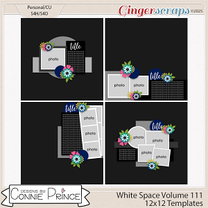 White Space Volume 111 - 12x12 Temps (CU Ok) by Connie Prince