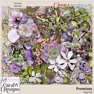 Promises-Page Kit