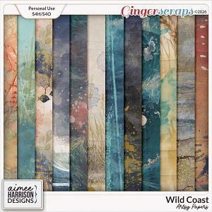 Wild Coast Artsy Papers by Aimee Harrison Wild Coast Artsy Papers by Aimee Harrison