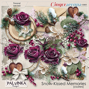Snow-Kissed Memories Clusters by Palvinka Designs