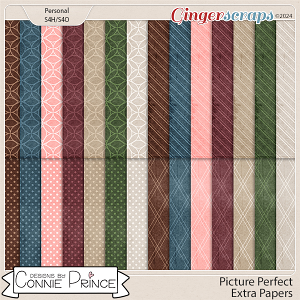 Picture Perfect - Extra Papers by Connie Prince