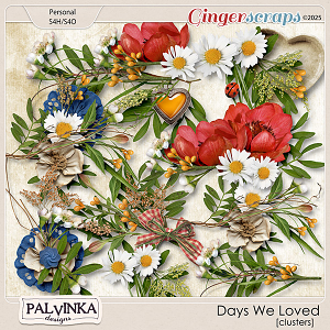 Days We Loved Clusters by Palvinka Designs