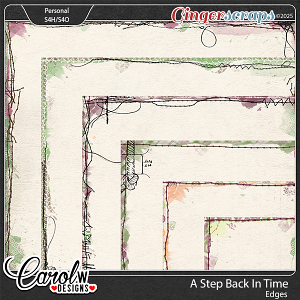 A Step Back In Time-Edges A Step Back In Time-Edges