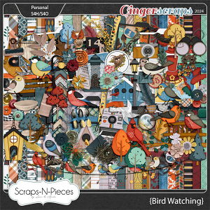 Bird Watching Kit by Scraps N Pieces